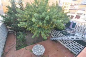 329902 IB CLOT FRANQUETS Apartment  Roses
