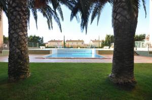 328931 IB MEDITERRANEO 48 Apartment  Roses