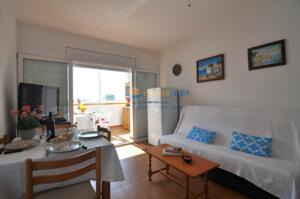 329901 PLAYASOL 4G IB Apartment  Roses