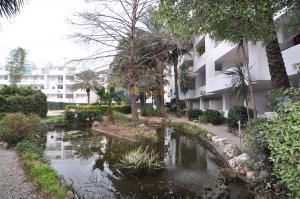 329207 IB RM-1 XALOC 3-1 Appartement  Roses