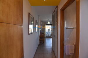 13961 JONCAR CASTELL DEL JONCAR- NORD - 4-7 Studio  Roses