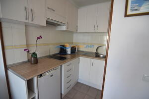 13961 JONCAR CASTELL DEL JONCAR- NORD - 4-7 Studio  Roses