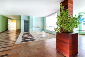 19 RM II - 140 Apartment  Roses