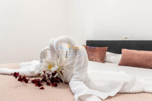 313037 MADRID 44 - BAJO Apartamento  Roses