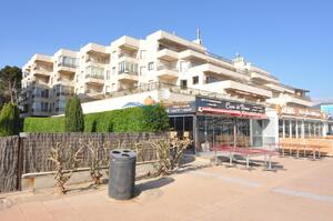 13961 JONCAR CASTELL DEL JONCAR- NORD - 4-7 Study  Roses
