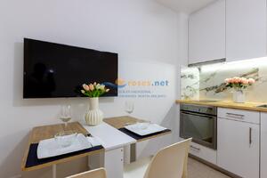 110 JONCAR CASTELL DEL JONCAR- INFOBRAVA Study  Roses