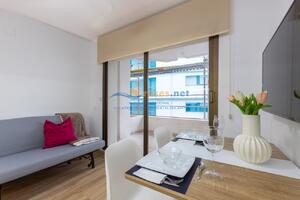 110 JONCAR CASTELL DEL JONCAR- INFOBRAVA Study  Roses