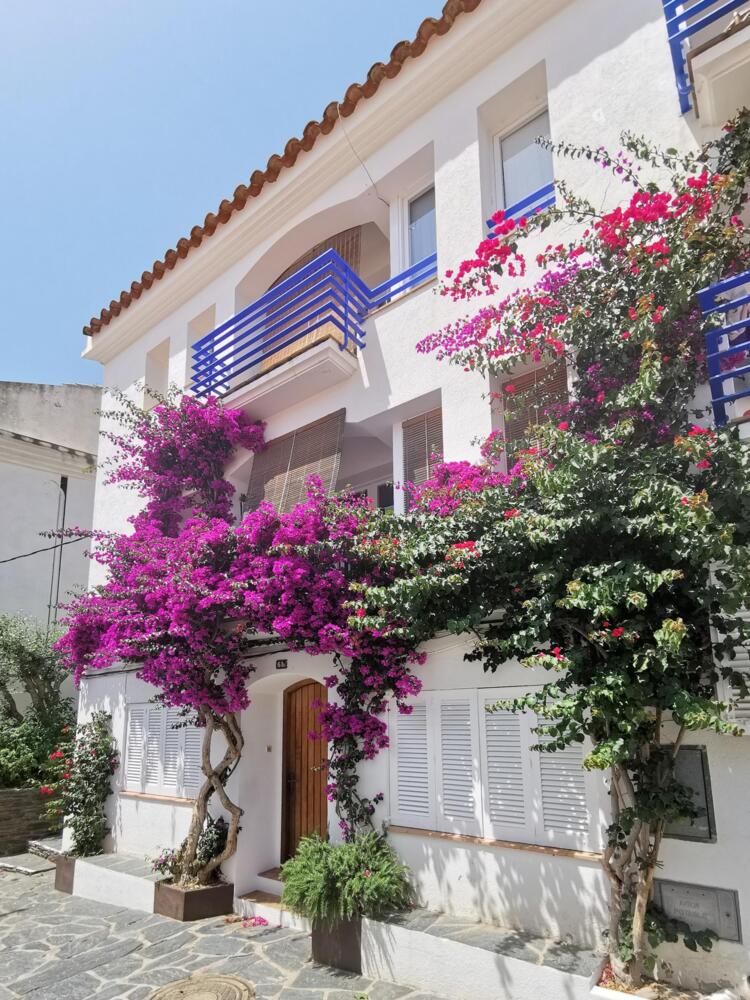 AL091 AL091 - Es Poal Apartament CADAQUES Cadaqués AL091 AL091 - Es Poal Apartament CADAQUES Cadaqués