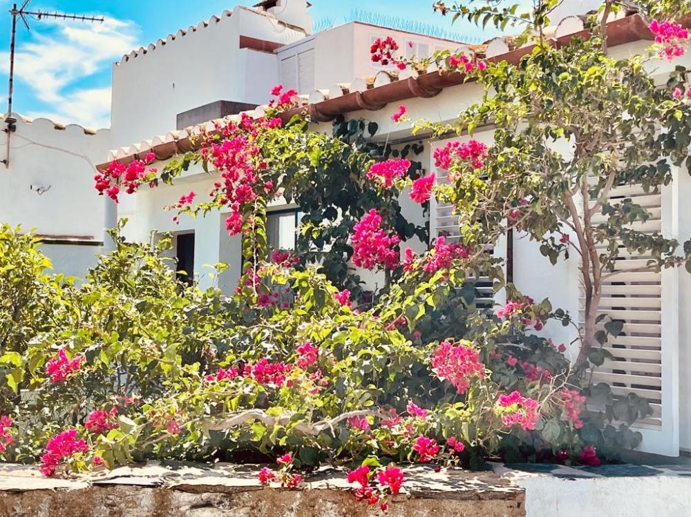 AL093 AL093 Apartament Cadaqués AL093 AL093 Apartament Cadaqués