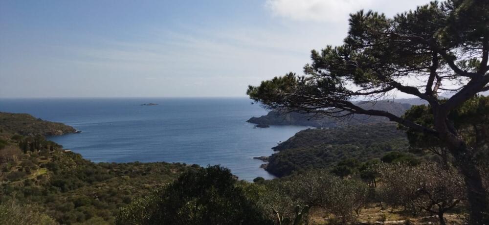 TR008 TR008 Terreny Cadaqués TR008 TR008 Terreny Cadaqués