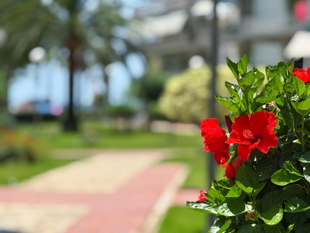 S204-036 DH-ARIES Apartamento Playa Salou