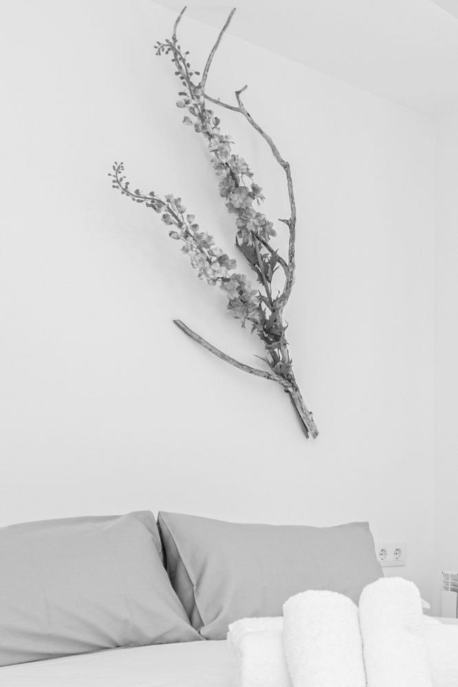 CS CDQS CS CDQS Apartamento  Cadaqués