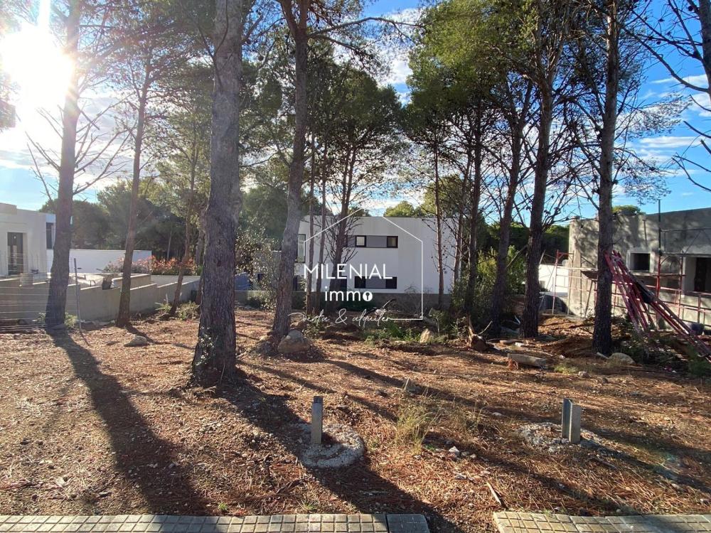 CAS-EUCALIPTUSPRO EUCALIPTUS PROJECTE Casa aislada / Villa Les Garrigues Roses