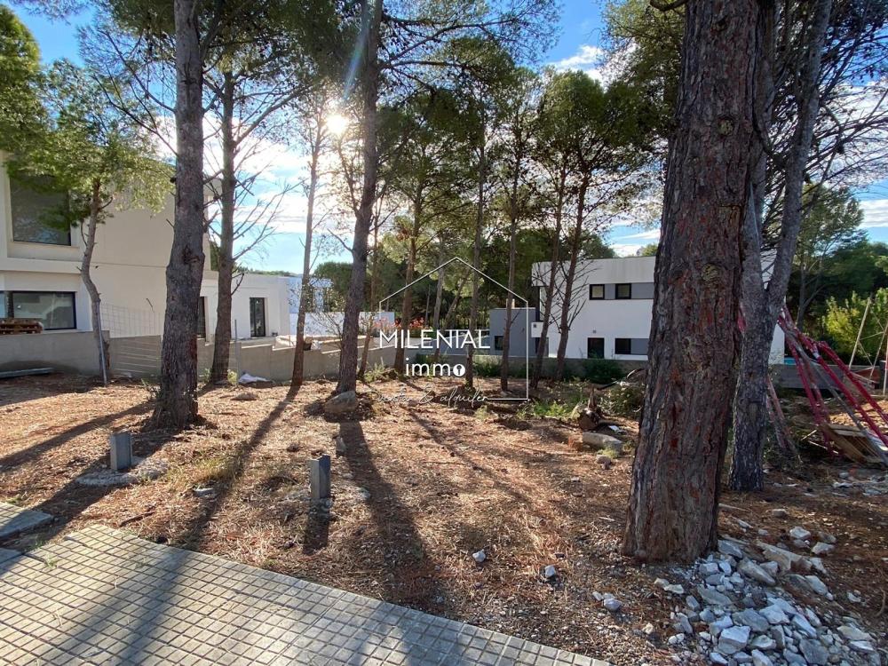 CAS-EUCALIPTUSPRO EUCALIPTUS PROJECTE Casa aislada / Villa Les Garrigues Roses