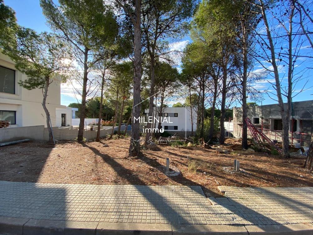 CAS-EUCALIPTUSPRO EUCALIPTUS PROJECTE Casa aislada / Villa Les Garrigues Roses