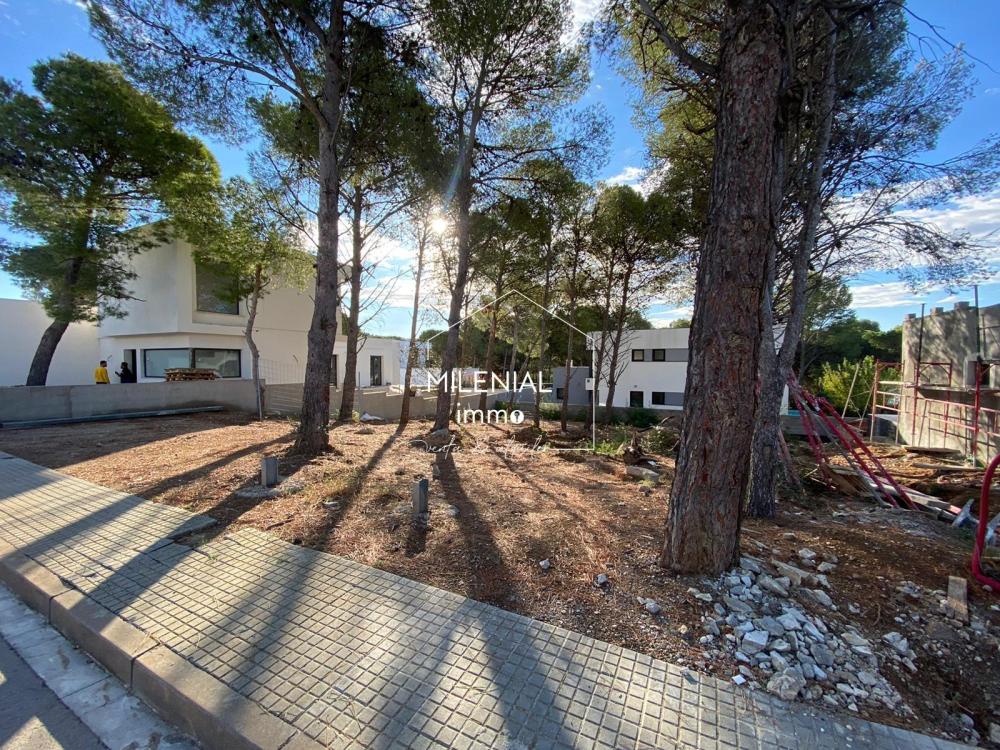 CAS-EUCALIPTUSPRO EUCALIPTUS PROJECTE Casa aislada / Villa Les Garrigues Roses