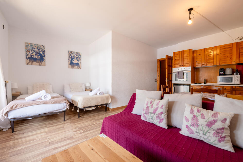 liechtenstein ¡Estudio con vistas El Tarter! 2Pax Estudio  El Tarter
