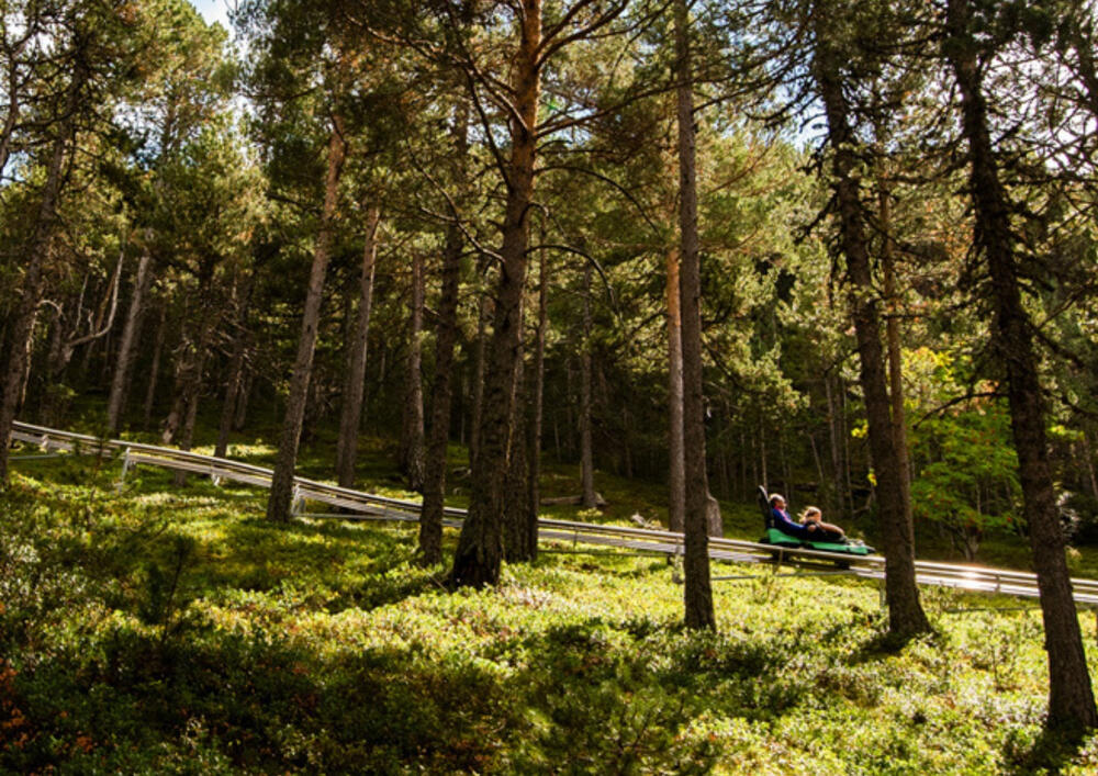 gineu Apartamento Moderno en Arinsal 4PAX a pie de pistas I Balcón con vistas impresionantes al valle y parking, HUT4-006593 Apartamento Arinsal gineu Apartamento Moderno en Arinsal 4PAX a pie de pistas I Balcón con vistas impresionantes al valle y parking, HUT4-006593 Apartamento Arinsal