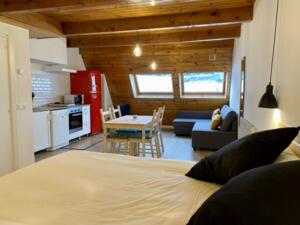 4 Saporo Loft  Àtic  Pas de la Casa