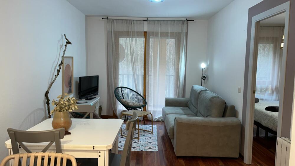 13 APARTAMENTO EL CANFRANERO Apartamento  Canfranc
