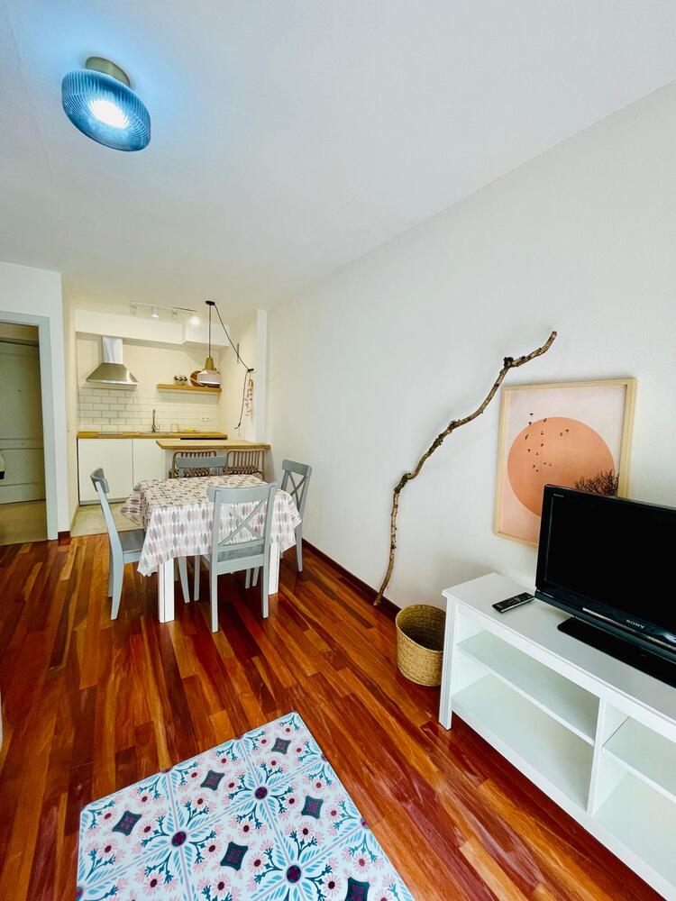 13 APARTAMENTO EL CANFRANERO Apartamento  Canfranc