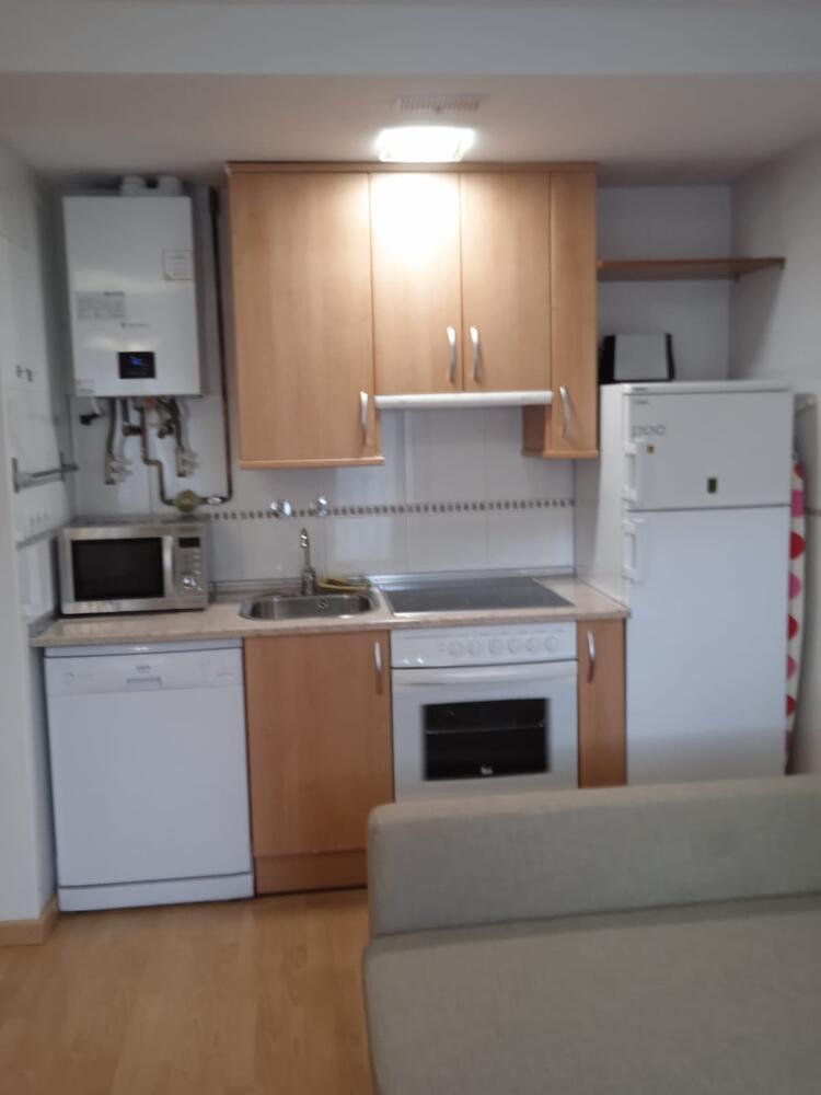 20 APARTAMENTO EL ROBLE Apartamento  Villanúa
