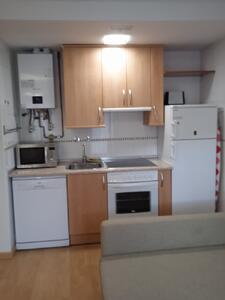 20 APARTAMENTO EL ROBLE Apartamento  Villanúa