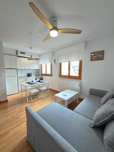 30 APARTAMENTO ALAMEDA Apartamento MEMBRILLERAS Jaca