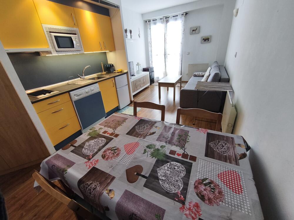 37 APARTAMENTO RIGLOS Apartamento CANDANCHU Aisa 37 APARTAMENTO RIGLOS Apartamento CANDANCHU Aisa