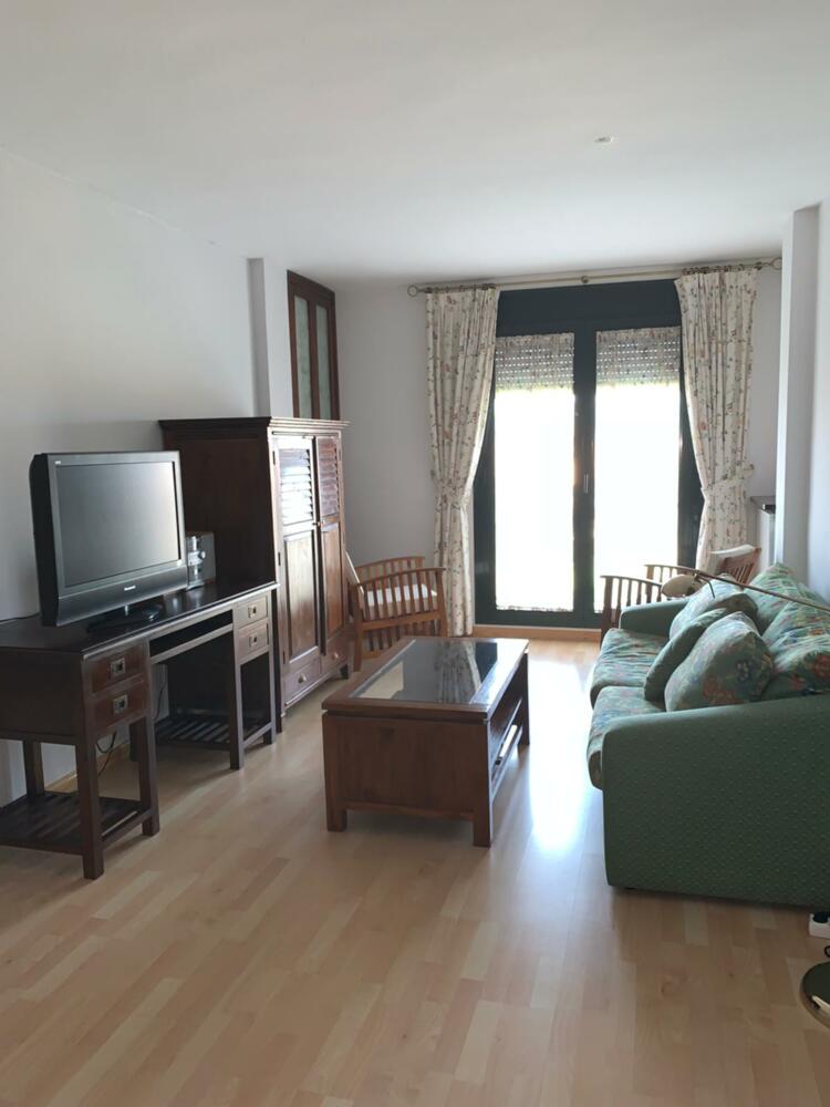 55 APARTAMENTO LOS MAÑOS DE OROEL Apartamento  Jaca