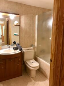 75 APARTAMENTO BISAURIN Apartamento  Jaca