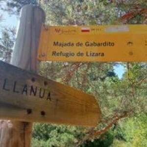 100 APARTAMENTO EL NIDO DE VILLANUA Apartamento  Villanúa