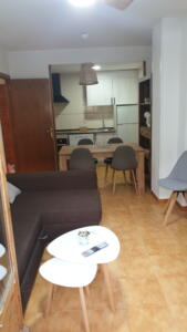 159 APARTAMENTO LOIRA VILLANÚA Apartamento  Villanúa