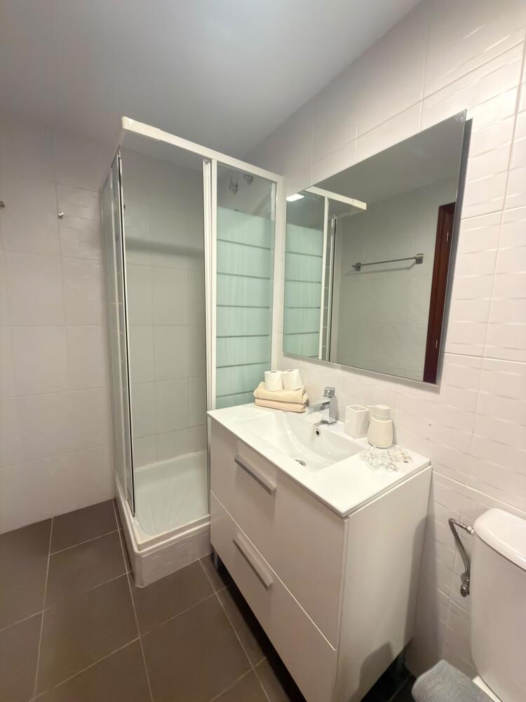 167 EL BOJ CANFRANC Apartamento  Canfranc