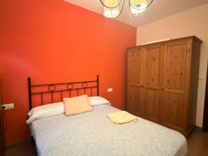 167 EL BOJ CANFRANC Apartamento  Canfranc