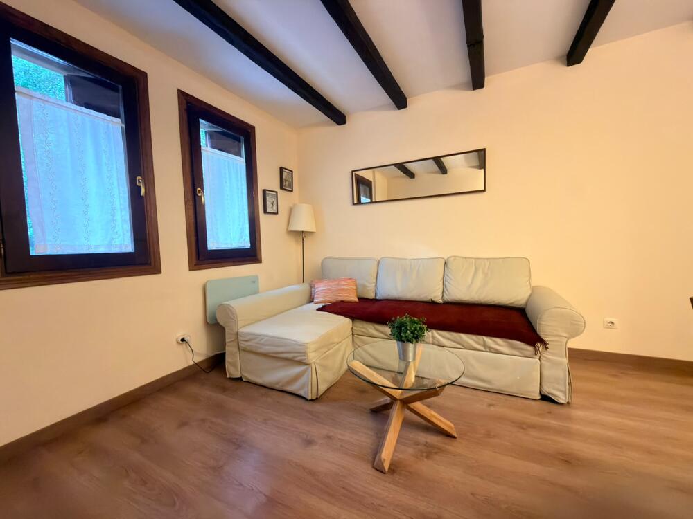 167 EL BOJ CANFRANC Apartamento  Canfranc