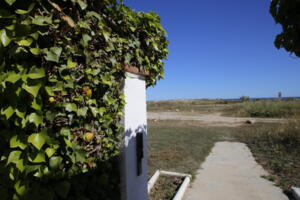 AT017 AT017 Constel.lació Apartament  Creixell