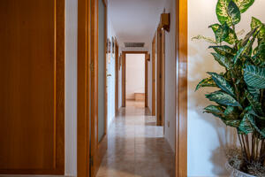AT098 AT098 Pau Casals Apartamento Centre Torredembarra