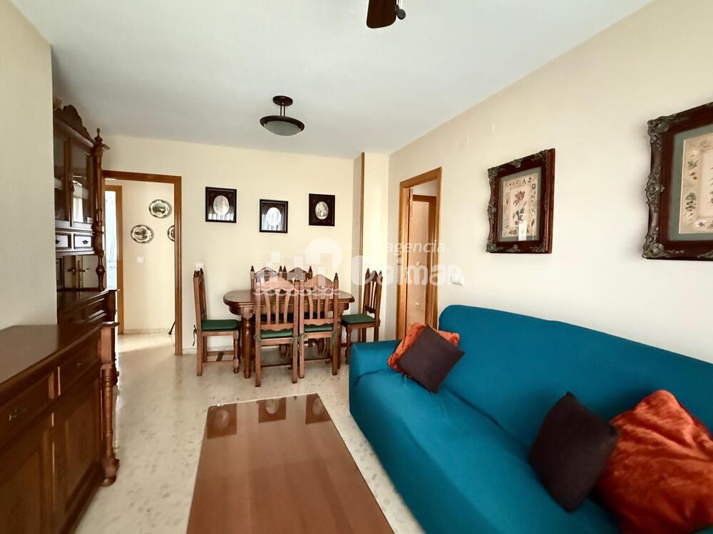 255 PALMERAS III 3-1-1º-C Apartamento  Daimús