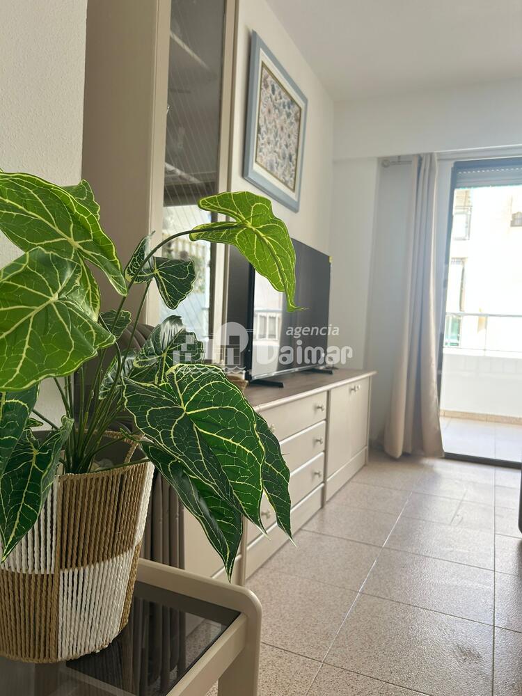 272 FINAMAR II 2-4º-56 Apartamento ZONA CENTRO Daimús 272 FINAMAR II 2-4º-56 Apartamento ZONA CENTRO Daimús
