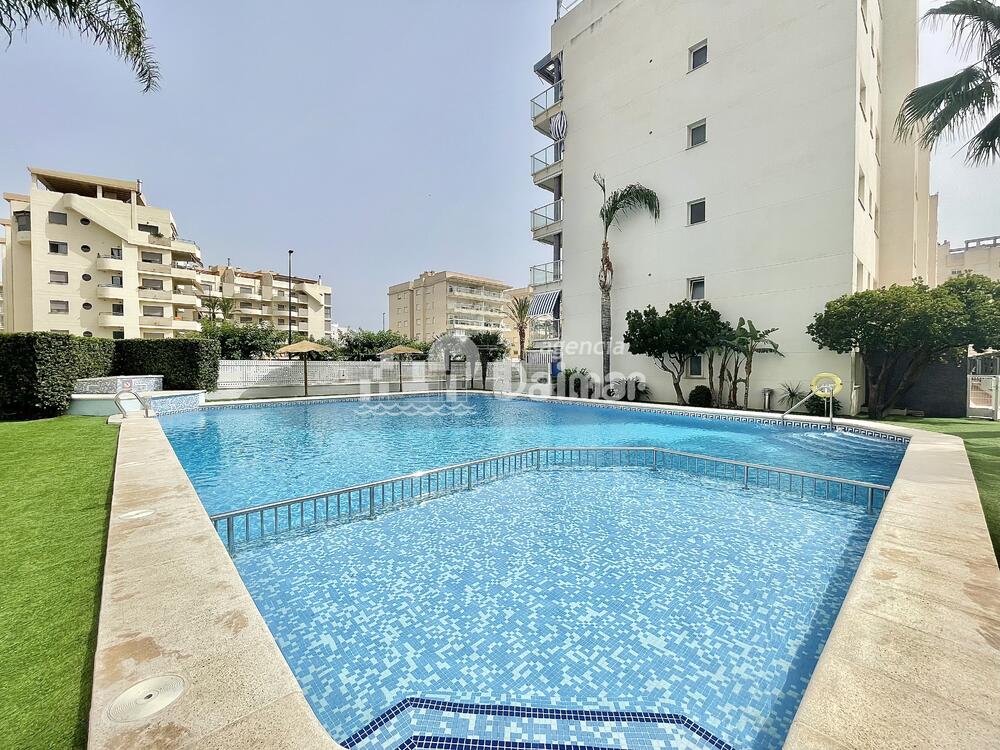 310 MEDITERRANEA I 1 - BAJO - 1 Apartamento Daimús 310 MEDITERRANEA I 1 - BAJO - 1 Apartamento Daimús