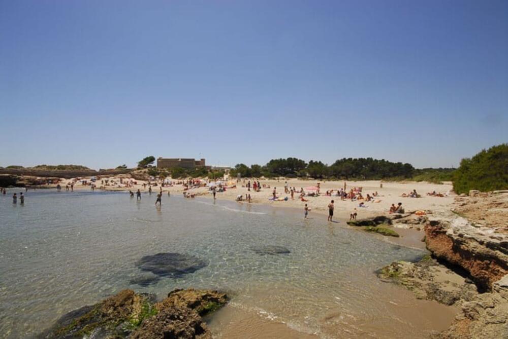 2 Dolphin I Apartamento Catalunya L'Ametlla de Mar