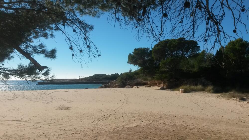 9 RD III - Jardí Xavi Apartamento Catalunya L'Ametlla de Mar