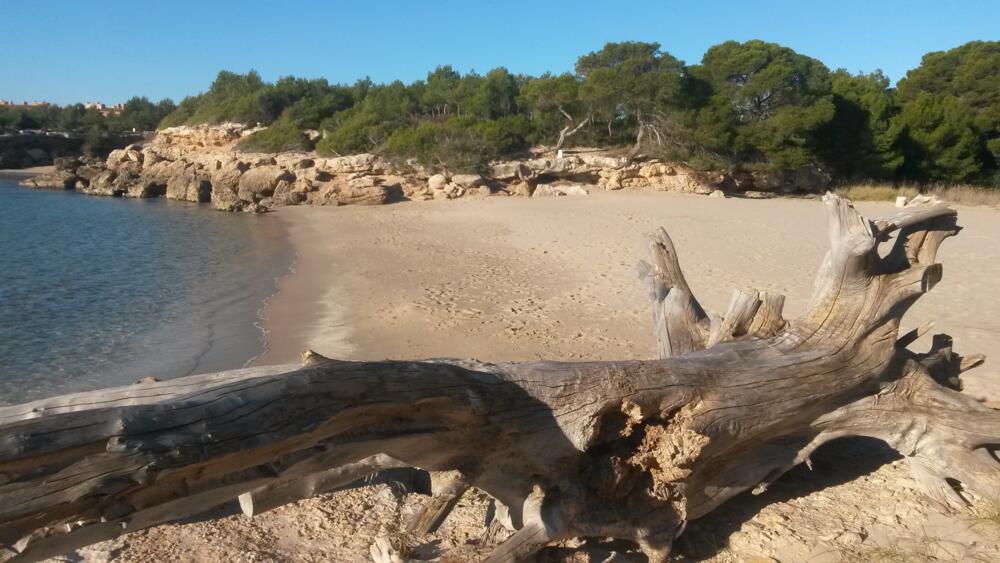 9 RD III - Jardí Xavi Apartamento Catalunya L'Ametlla de Mar