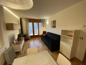 Bosquet El Forn  Bosquet El Forn  Apartament  Canillo