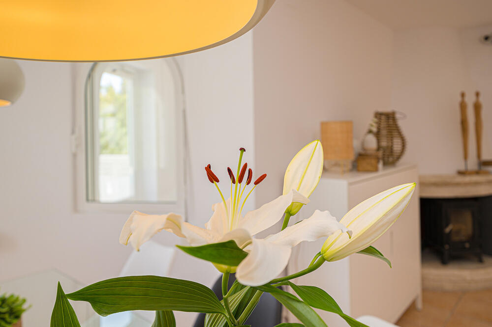 72 Casa Metro Detached house / Villa  Alfaz del Pi