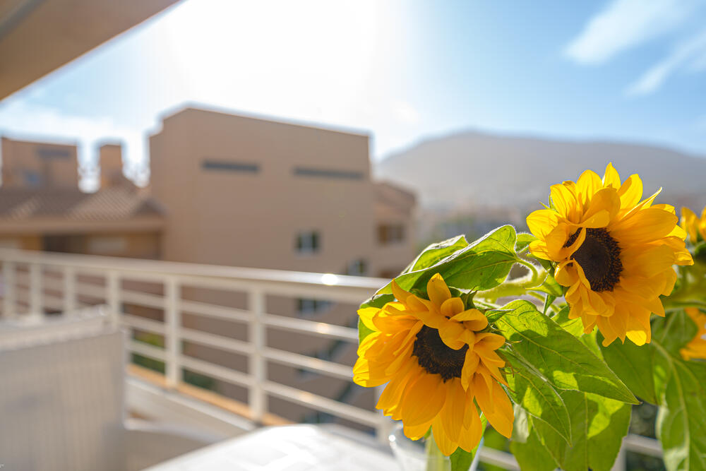 Alborada Golf 3 4B Alborada Golf 3 4B Apartment  Albir