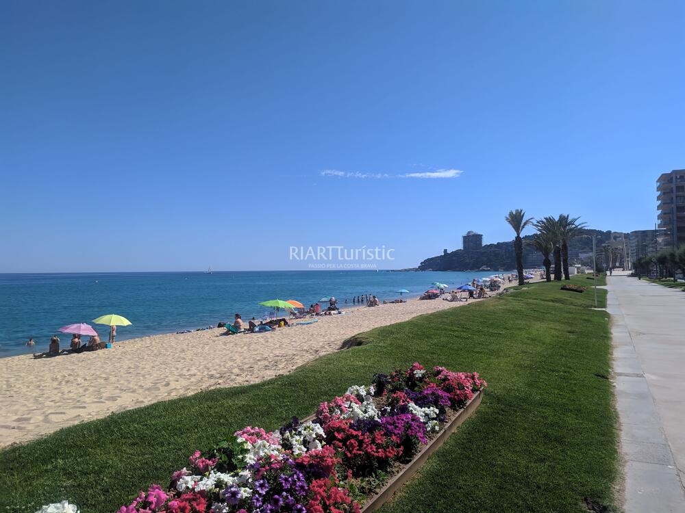 L01.01 CARMANTO BAIXOS 1 Apartamento Costa Brava TORRE VALENTINA - CALONGE L01.01 CARMANTO BAIXOS 1 Apartamento Costa Brava TORRE VALENTINA - CALONGE