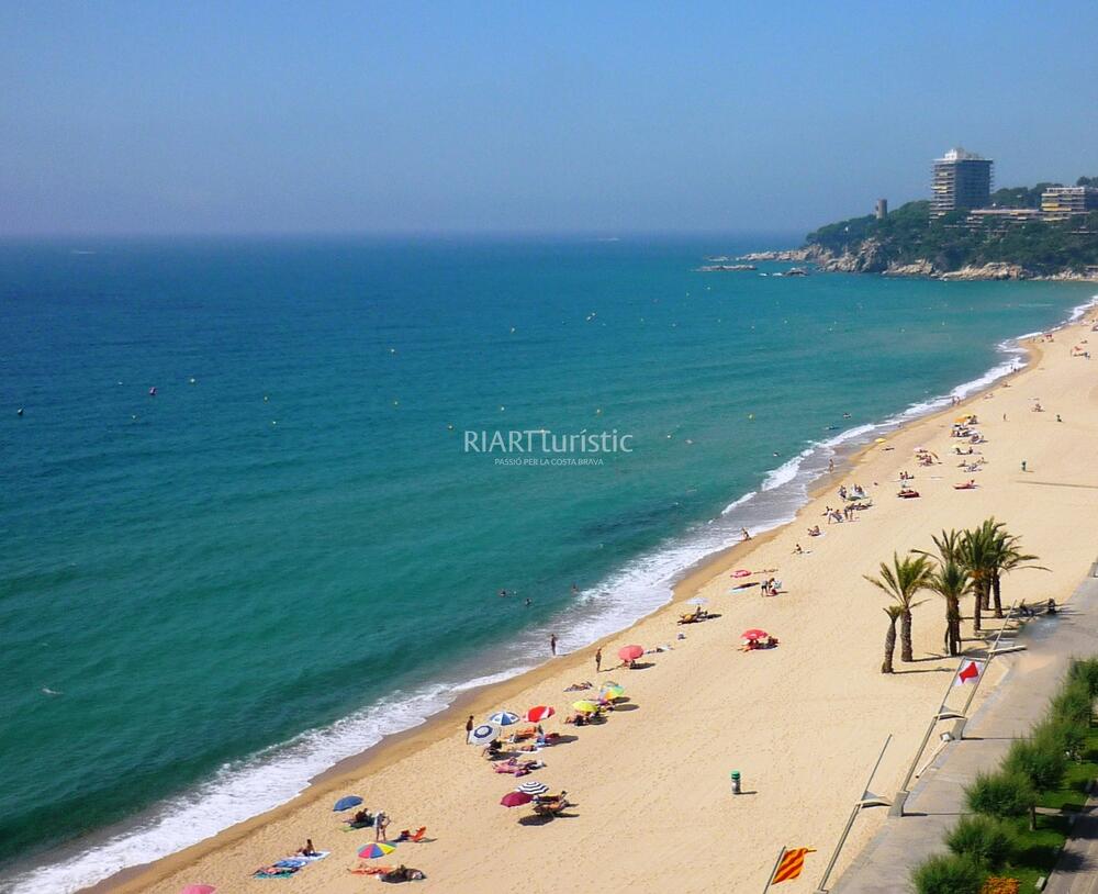 L05.66 SERRALLONGA 6-F Apartamento COSTA BRAVA SANT ANTONI DE CALONGE L05.66 SERRALLONGA 6-F Apartamento COSTA BRAVA SANT ANTONI DE CALONGE