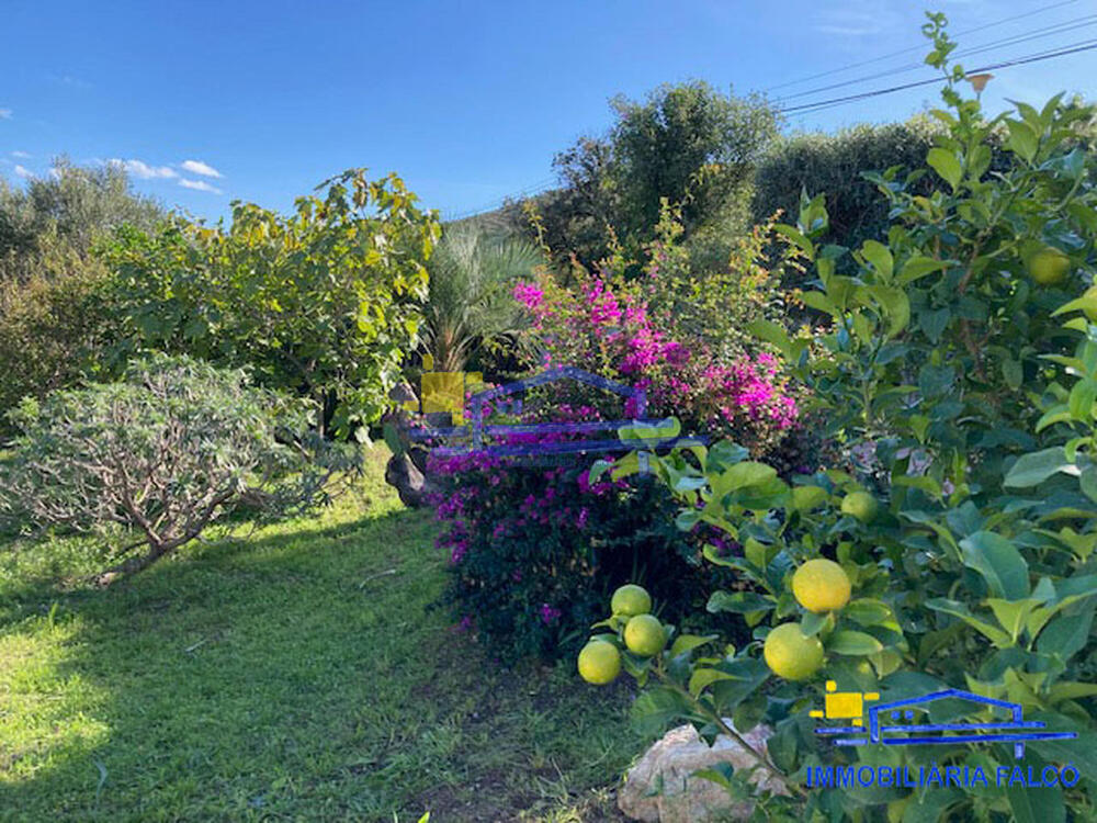 CAS 5 JACOBY Apartament Fané de Dalt Llançà CAS 5 JACOBY Apartament Fané de Dalt Llançà